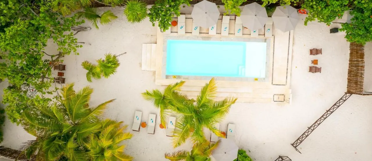 El Paraiso Hotel Τουλούμ