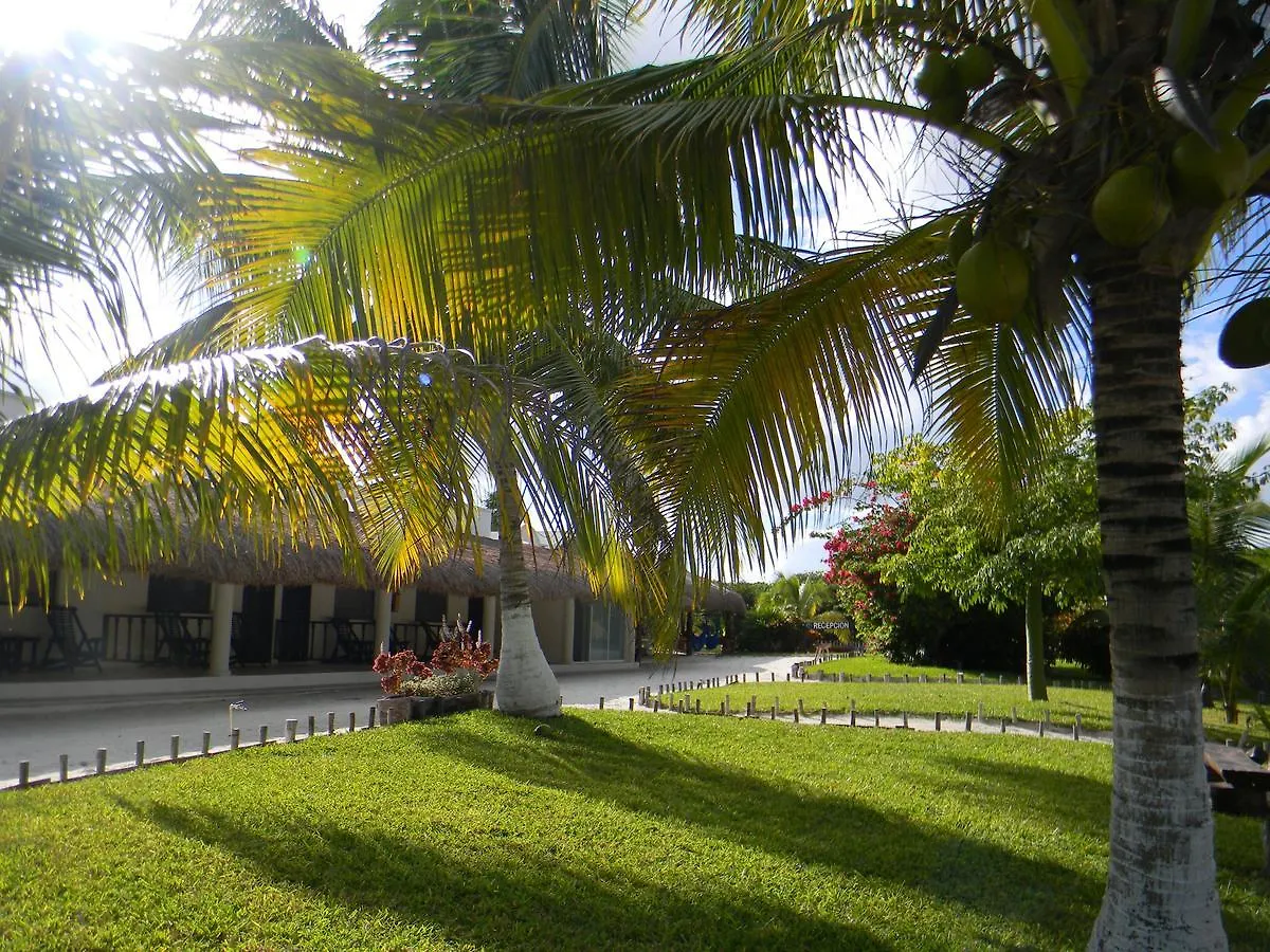 El Paraiso Hotel Τουλούμ 3*,